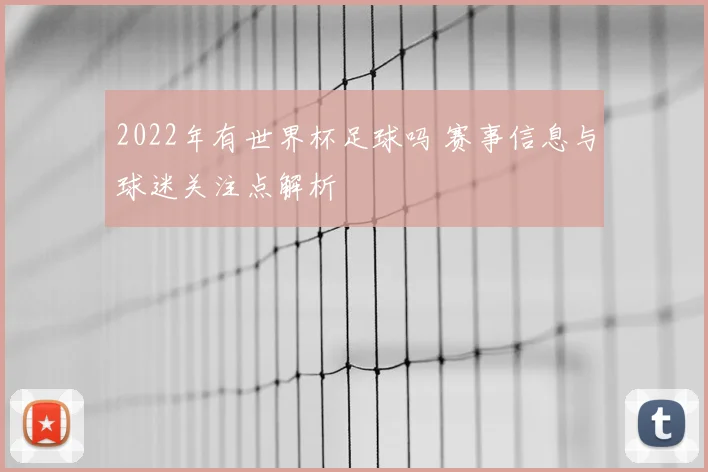 2022年有世界杯足球吗 赛事信息与球迷关注点解析