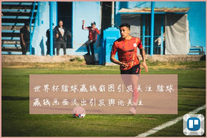 世界杯赌球赢钱截图引发关注 赌球赢钱画面流出引发舆论关注